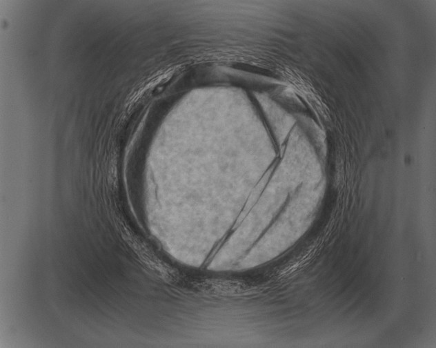 X0000085740681200704091510