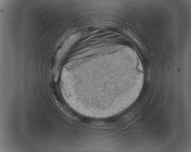 X0000085740685200704091510