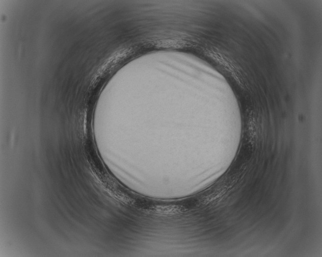X0000085740686200704091510