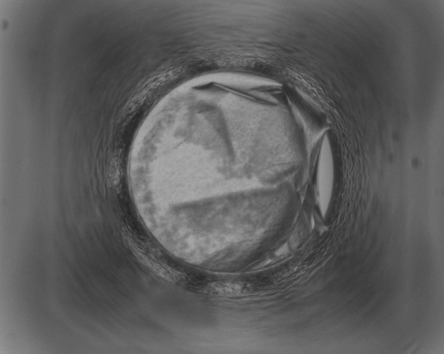 X0000085740687200704091510