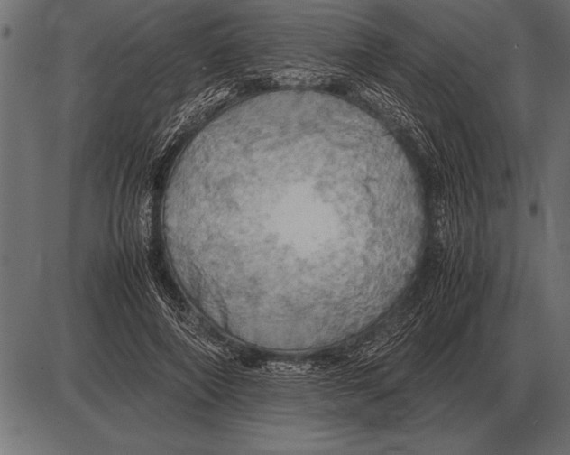 X0000085740690200704091510