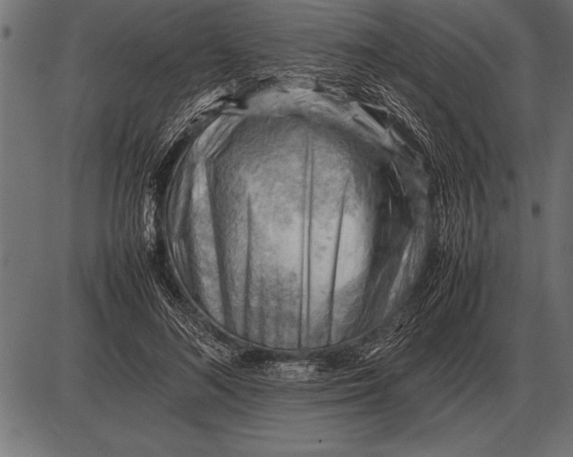 X0000085740692200704091510
