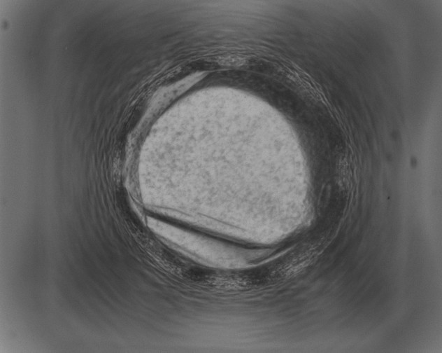 X0000085740697200704091510