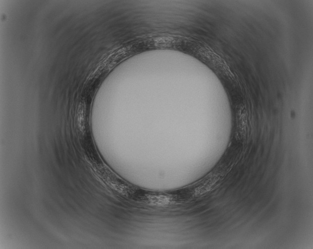X0000085740698200704091510