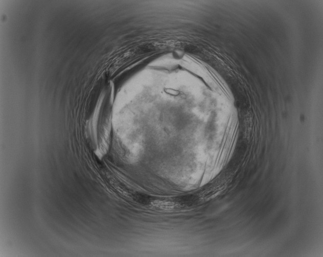 X0000085740699200704091510