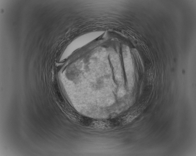 X0000085740703200704091510