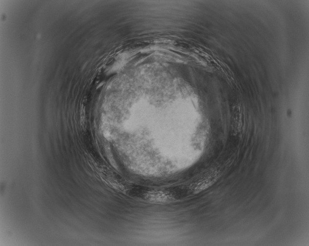 X0000085740704200704091510