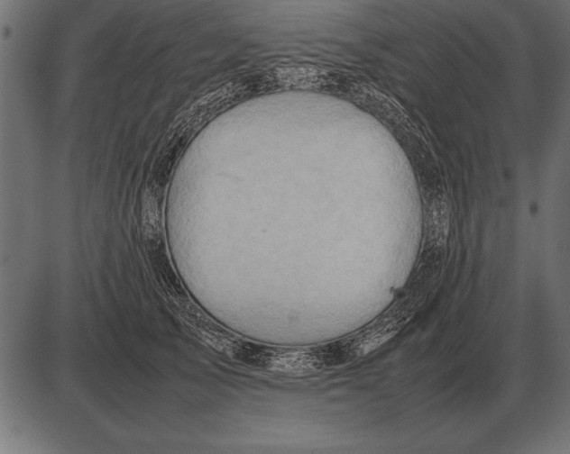 X0000085740705200704091510