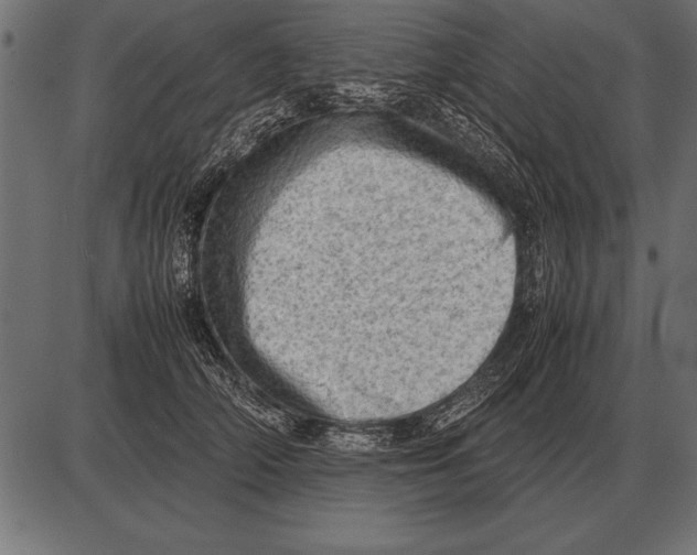 X0000085740706200704091510