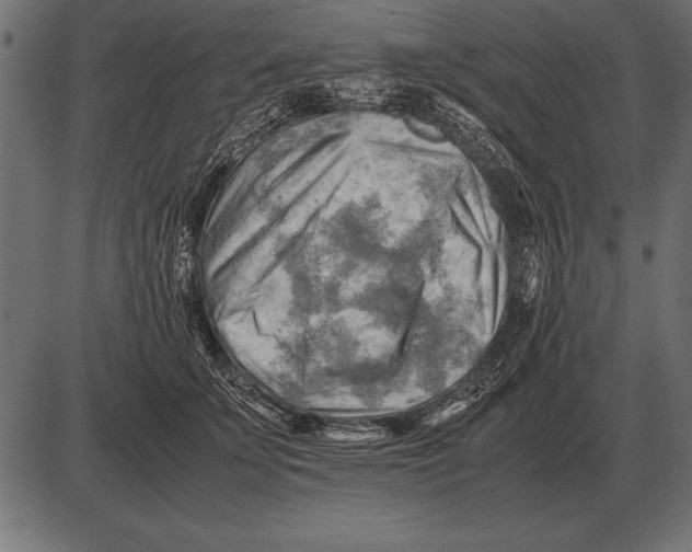 X0000085740707200704091510