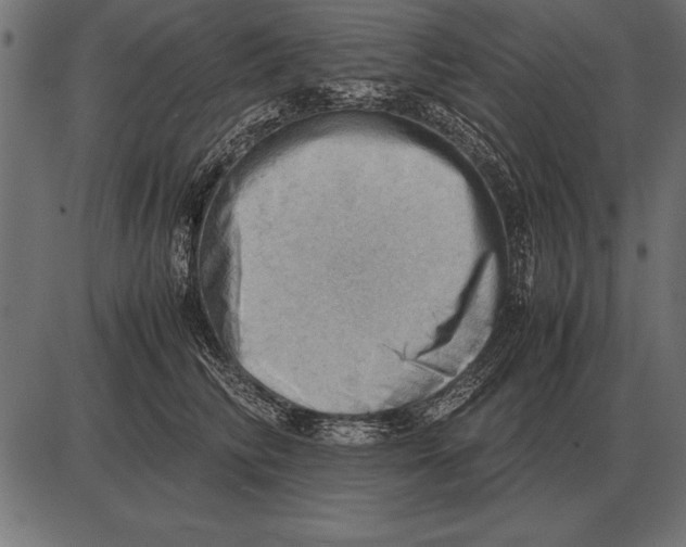 X0000085740710200704091510