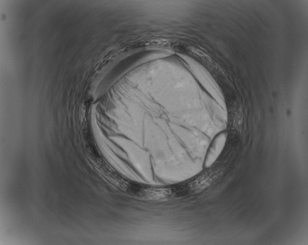 X0000085740711200704091510