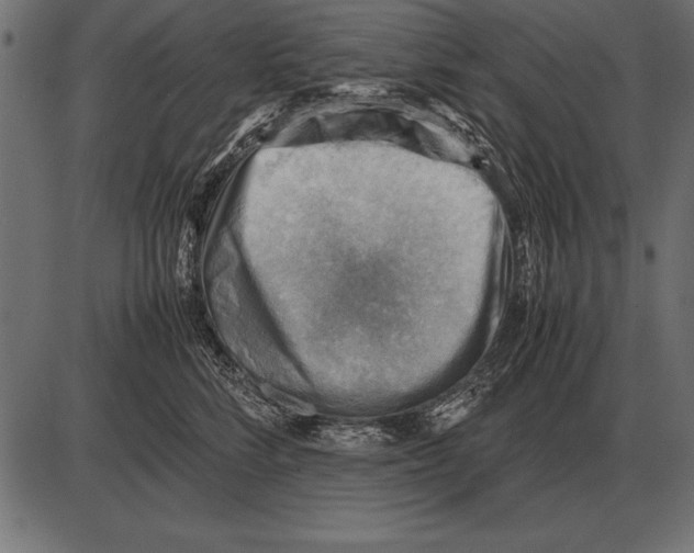 X0000085740712200704091510