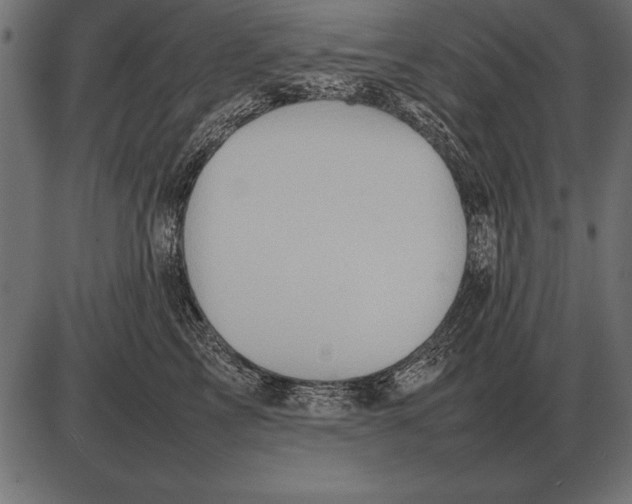 X0000085740713200704091510