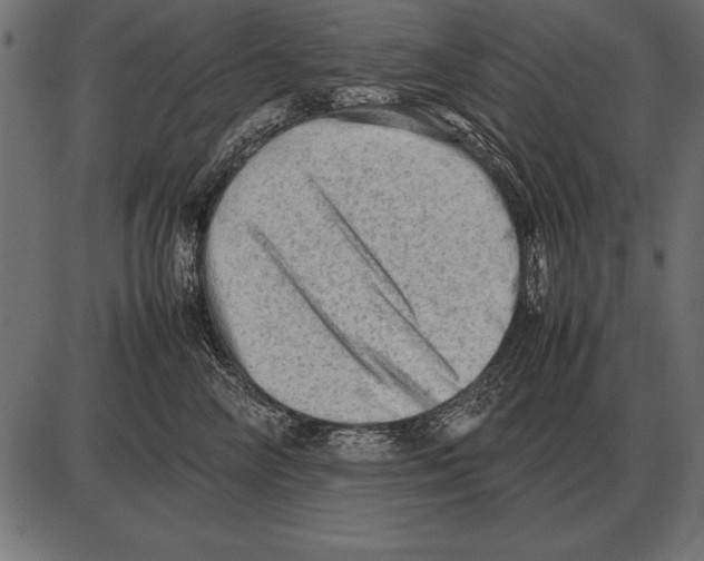 X0000085740714200704091510