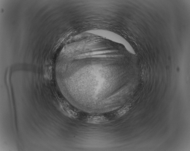X0000085740716200704091510
