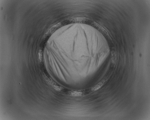 X0000085740718200704091510