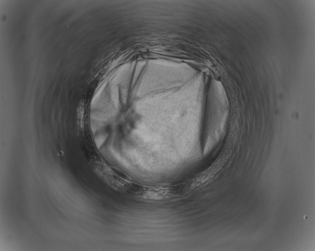 X0000085740720200704091510