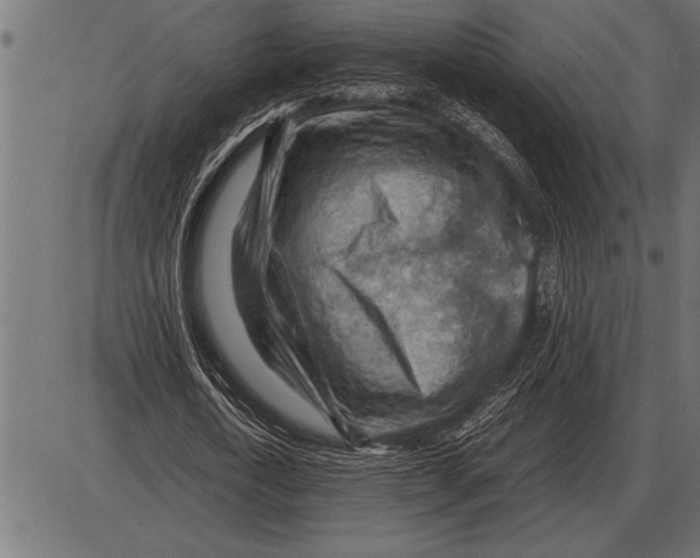 X0000085740722200704091509