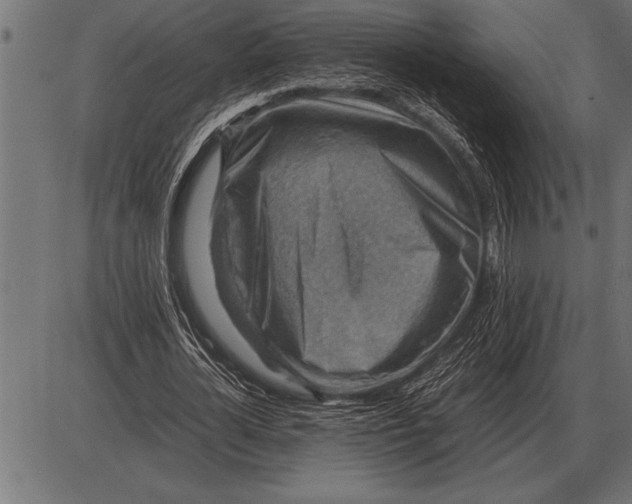 X0000085740724200704091509