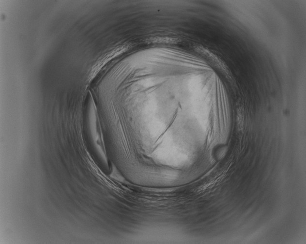 X0000085740725200704091509