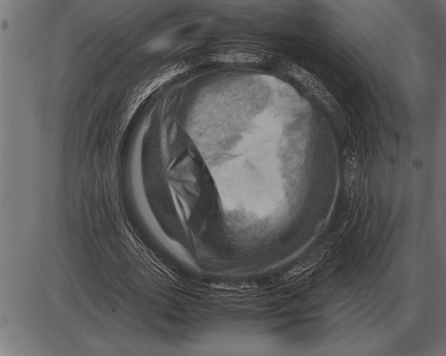 X0000085740727200704091509