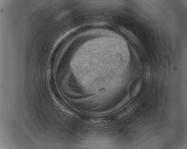 X0000085740728200704091509