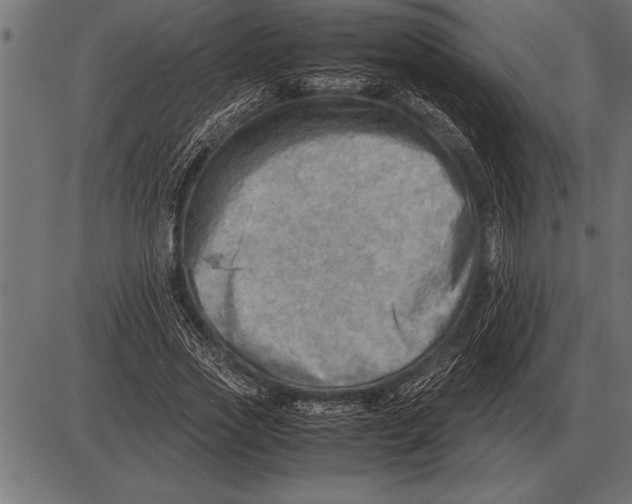 X0000085740733200704091509