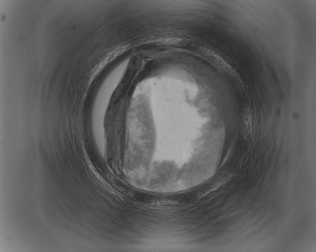 X0000085740734200704091509