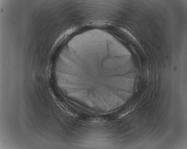 X0000085740736200704091509