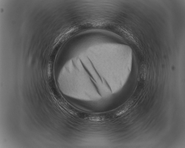 X0000085740740200704091509