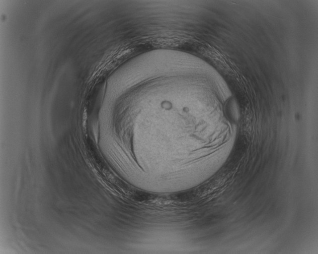 X0000085740742200704091509
