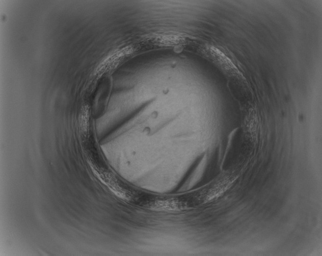 X0000085740744200704091509