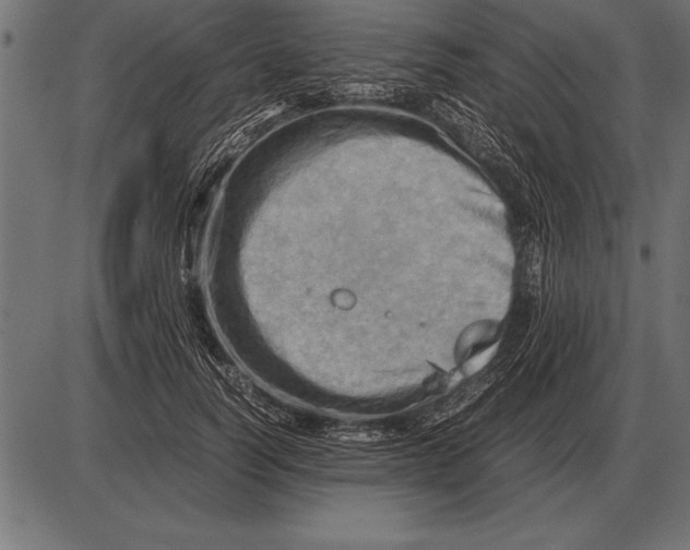 X0000085740746200704091509