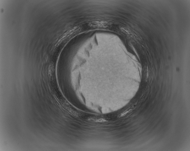 X0000085740747200704091509