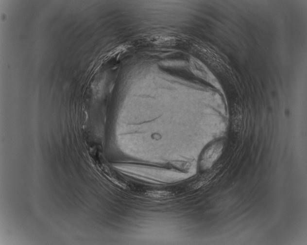 X0000085740748200704091509