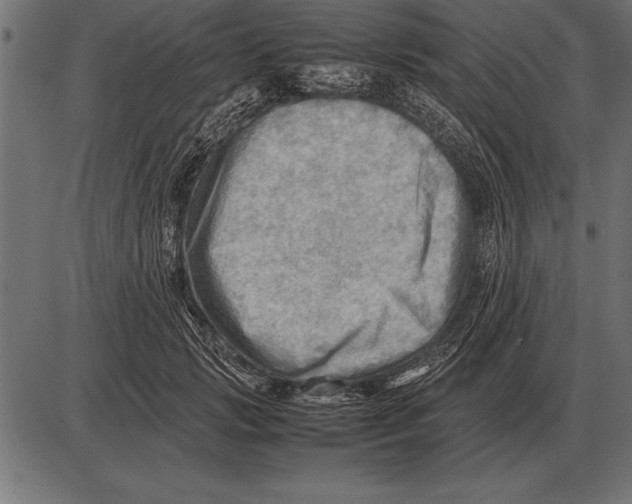 X0000085740749200704091509