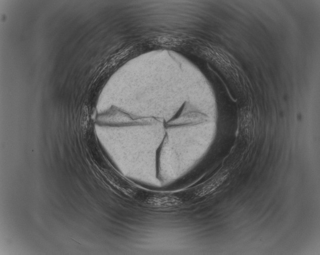 X0000085740752200704091509