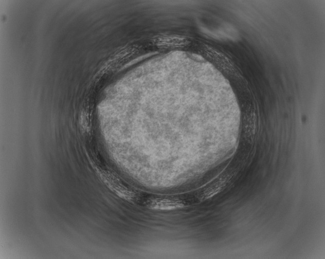 X0000085740755200704091509