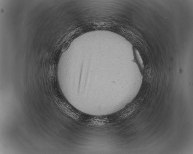 X0000085740756200704091509