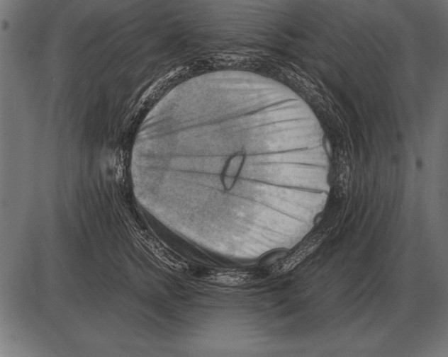 X0000085740758200704091509