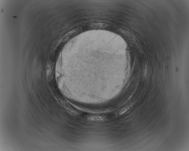 X0000085740759200704091509