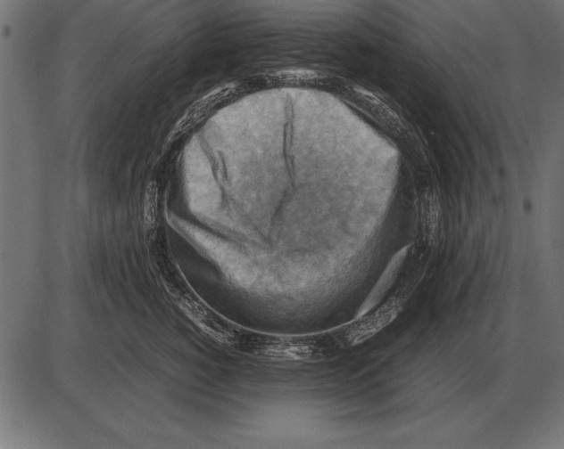 X0000085740760200704091509
