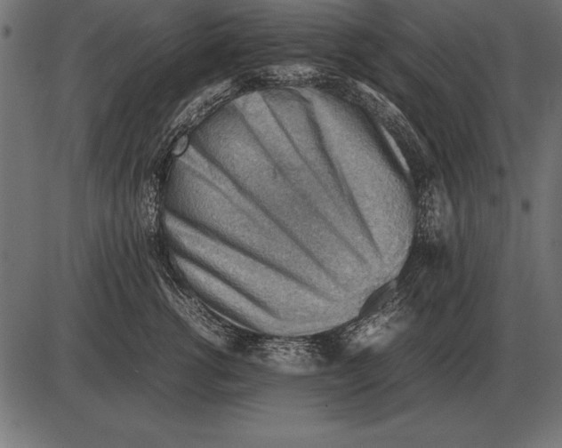 X0000085740762200704091509