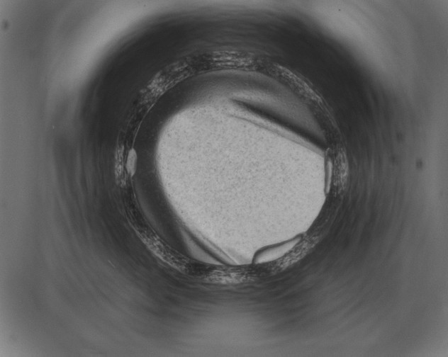 X0000085740764200704091509