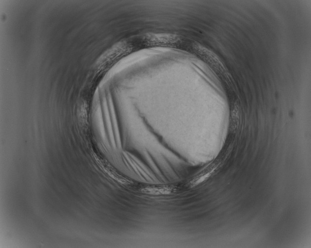 X0000085740765200704091510