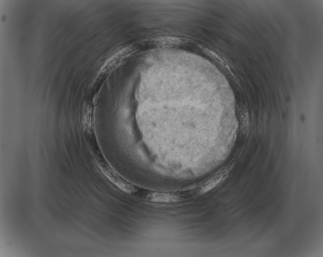X0000085740766200704091510