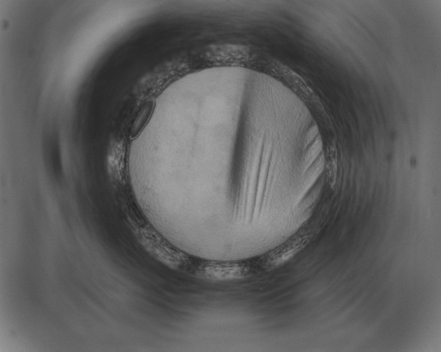 X0000085740767200704091510