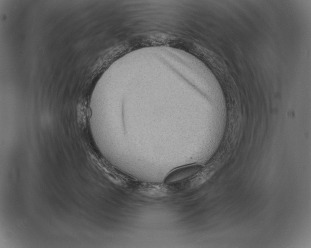 X0000085740768200704091510