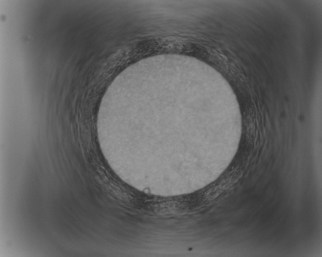 X0000085740769200704091509